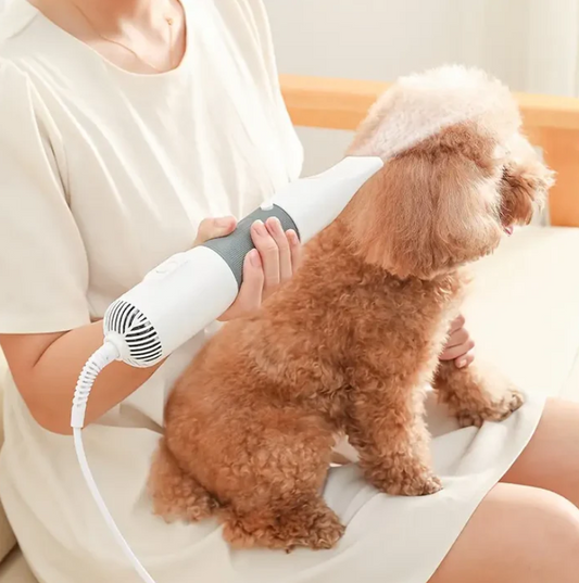 3 in1 Pet Dog Dryer