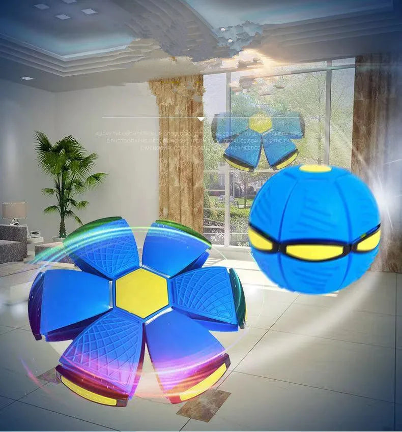 Pet Toy Ball