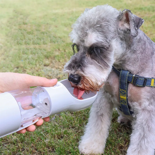 Portable Water Bottle