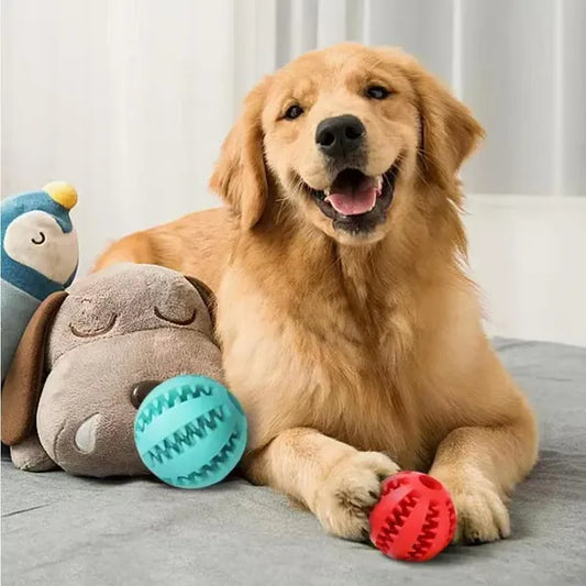 Dog Toy Ball