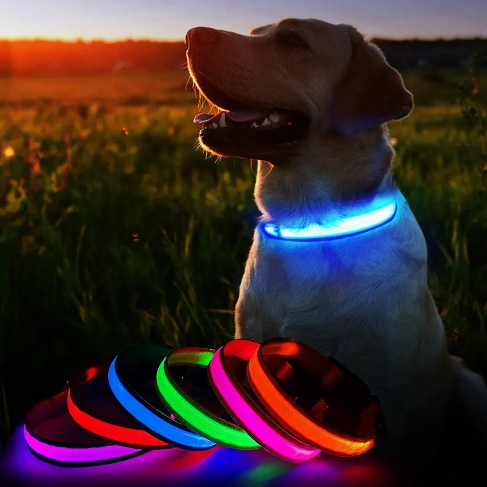 Dog Collar Nylon LED